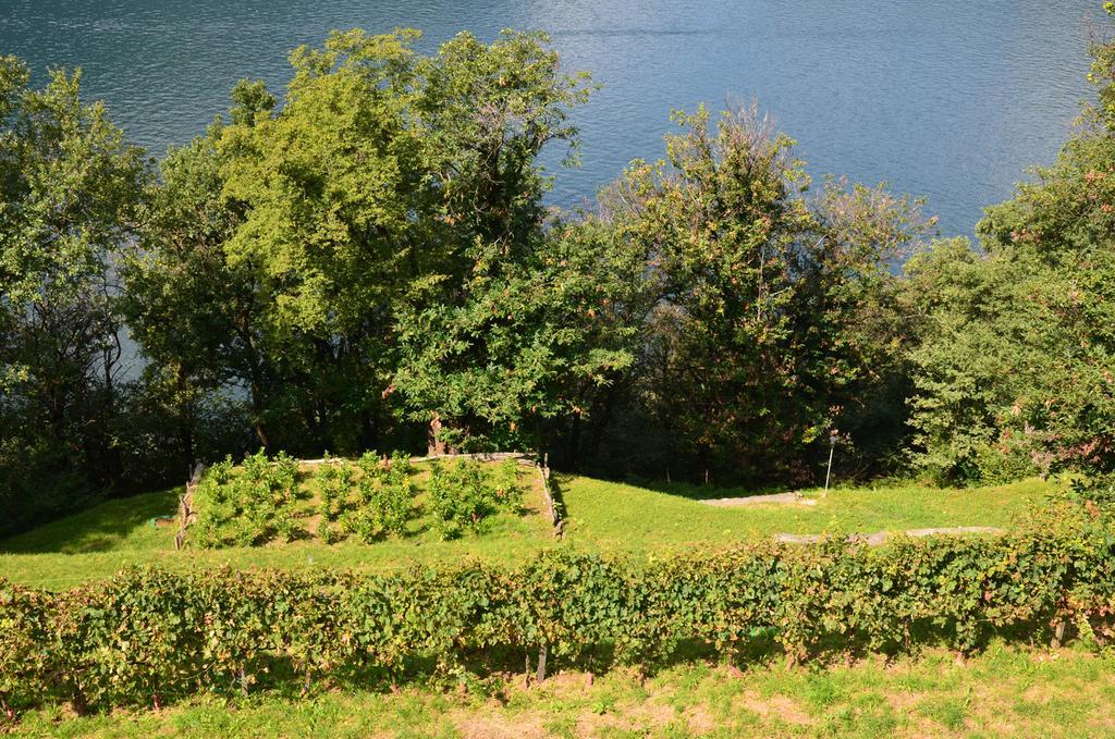 Tra Lago E Montagna Baita La Morena 네소 외부 사진