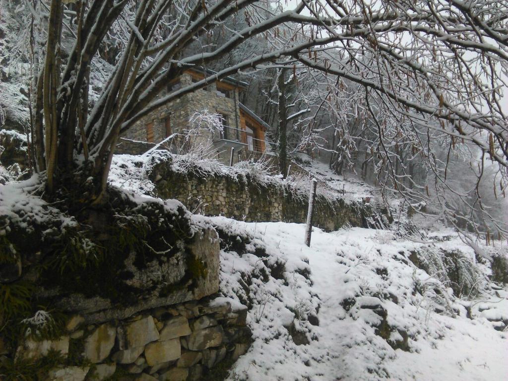 Tra Lago E Montagna Baita La Morena 네소 외부 사진