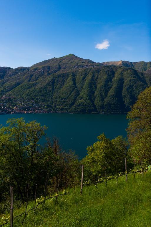 Tra Lago E Montagna Baita La Morena 네소 외부 사진