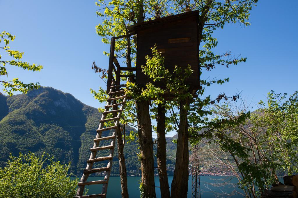 Tra Lago E Montagna Baita La Morena 네소 외부 사진