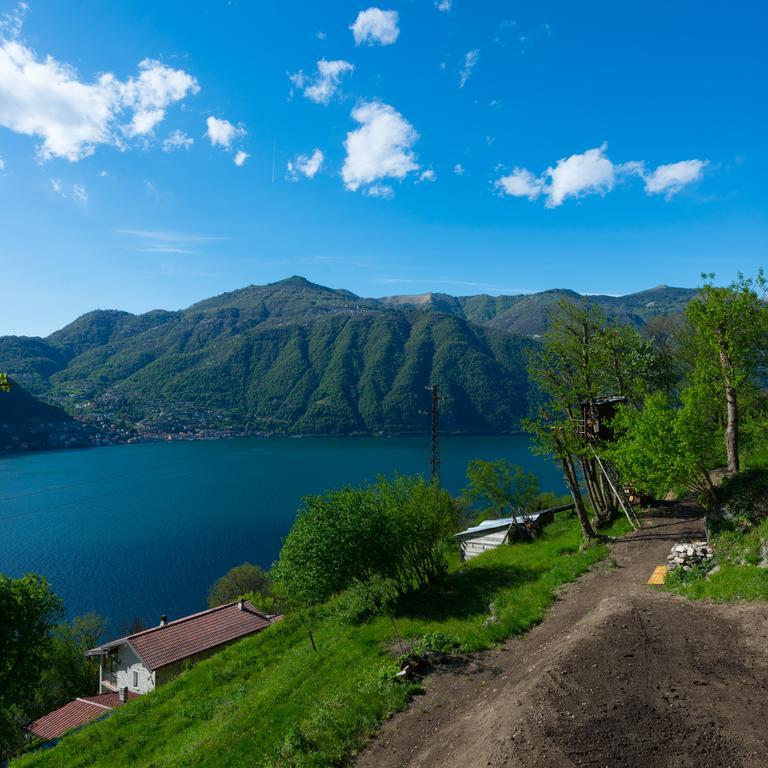 Tra Lago E Montagna Baita La Morena 네소 외부 사진